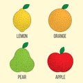 Vector illustration with fruits