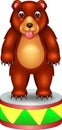 Funny bear circus cartoon standing with smile and sticking her tongue out