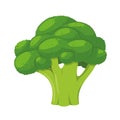 Vector illustration of a funny broccoli in cartoon style