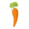 Vector illustration of a funny carrot in cartoon style