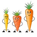 Vector illustration with funny carrots