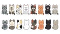 Vector illustration of funny cartoon cats breeds set