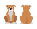 Vector illustration of funny cartoon dogs breeds set. Boxer dog Royalty Free Stock Photo