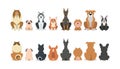 Vector illustration of funny cartoon dogs breeds set Royalty Free Stock Photo