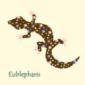 Vector illustration of funny cartoon hand drawn eublepharis or leopard gecko in floral pattern style Royalty Free Stock Photo