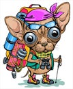 Funny cartoon chihuahua puppy with tourism equipment