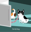 Funny dog and cat