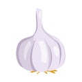 Vector illustration of a funny garlic in cartoon style Royalty Free Stock Photo