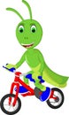 Funny grasshopper cartoon riding bycycle with laughing