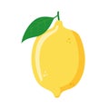Vector illustration of a funny lemon in cartoon style