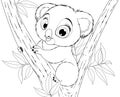 Vector illustration, funny little koala bear baby smiling