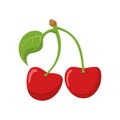 Vector illustration of a funny pair of cherries in cartoon style Royalty Free Stock Photo