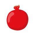 Vector illustration of a funny pomegranate in cartoon style