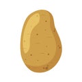 Vector illustration of a funny potato in cartoon style