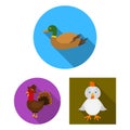 Vector design of funny and poultry symbol. Set of funny and farming vector icon for stock. Royalty Free Stock Photo