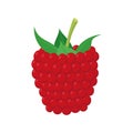 Vector illustration of a funny raspberry in cartoon style