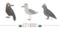 Vector illustration of funny seagull, raven, pigeon with poo. Sea or city birds in hats picture isolated on white background. Flat Royalty Free Stock Photo