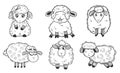 Black and white set with funny sheep