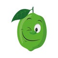 Vector illustration of a funny and smiling lime character