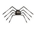 Vector illustration of funny spider with eyes and eight legs