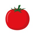 Vector illustration of a funny tomato in cartoon style