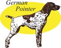 German Pointer Vector Illustration