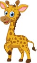 Giraffe in style by lifting one of its legs Royalty Free Stock Photo