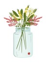 Vector illustration of glass jar with bouquet of wild flowers Royalty Free Stock Photo