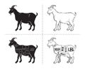 Vector illustration goat cuts diagram or chart. Goat black silhouette