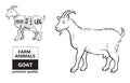 Vector illustration goat cuts diagram or chart. Goat black silhouette