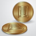 Vector illustration of gold coins with Chinese Yan