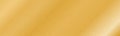 Vector illustration of gold colored texture background banner Royalty Free Stock Photo