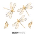 Vector illustration of golden butterfly and dragonfly stickers, flash temporary tattoo