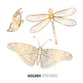 Vector illustration of golden butterfly and dragonfly stickers, flash temporary tattoo