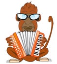 Vector illustration of the gorilla with accordeon Royalty Free Stock Photo