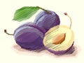 Vector illustration of drawing fruit plum. Royalty Free Stock Photo