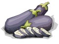 Vector illustration of drawing vegetable eggplant. Royalty Free Stock Photo