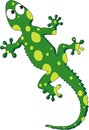 Vector illustration of a green