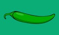 Vector illustration of green chili pepper