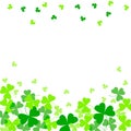 Vector Illustration Of Green Clover Leaves On White. St Patrick`s Day Background.