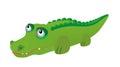 Crocodile toy.