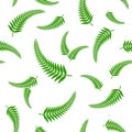 Green fern leaves seamless pattern. Royalty Free Stock Photo