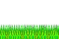 Vector illustration of green grass Royalty Free Stock Photo