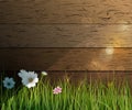 Vector illustration Green grass and Wildflowers Royalty Free Stock Photo