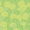 Year decorative background from green foliage tree Royalty Free Stock Photo