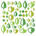 Vector illustration of green tree leaves isolated on white background. Set of simple drawn nature design elements, graphic symbol Royalty Free Stock Photo