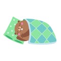 Illustration of groundhog sleeping under a blanket. Flat Royalty Free Stock Photo