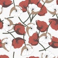 Vector illustration of a group of brown poppy flowers isolated on a white background. Seamless pattern