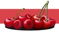 Vector illustration of a group of cherry berries on a label