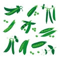 Collection of green peas. Royalty Free Stock Photo